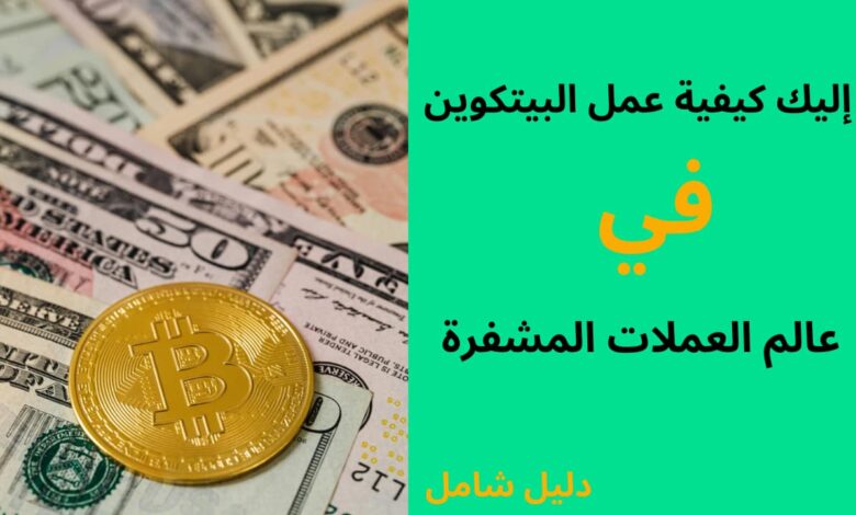 إليك كيفية عمل البيتكوين في عالم العملات المشفرة